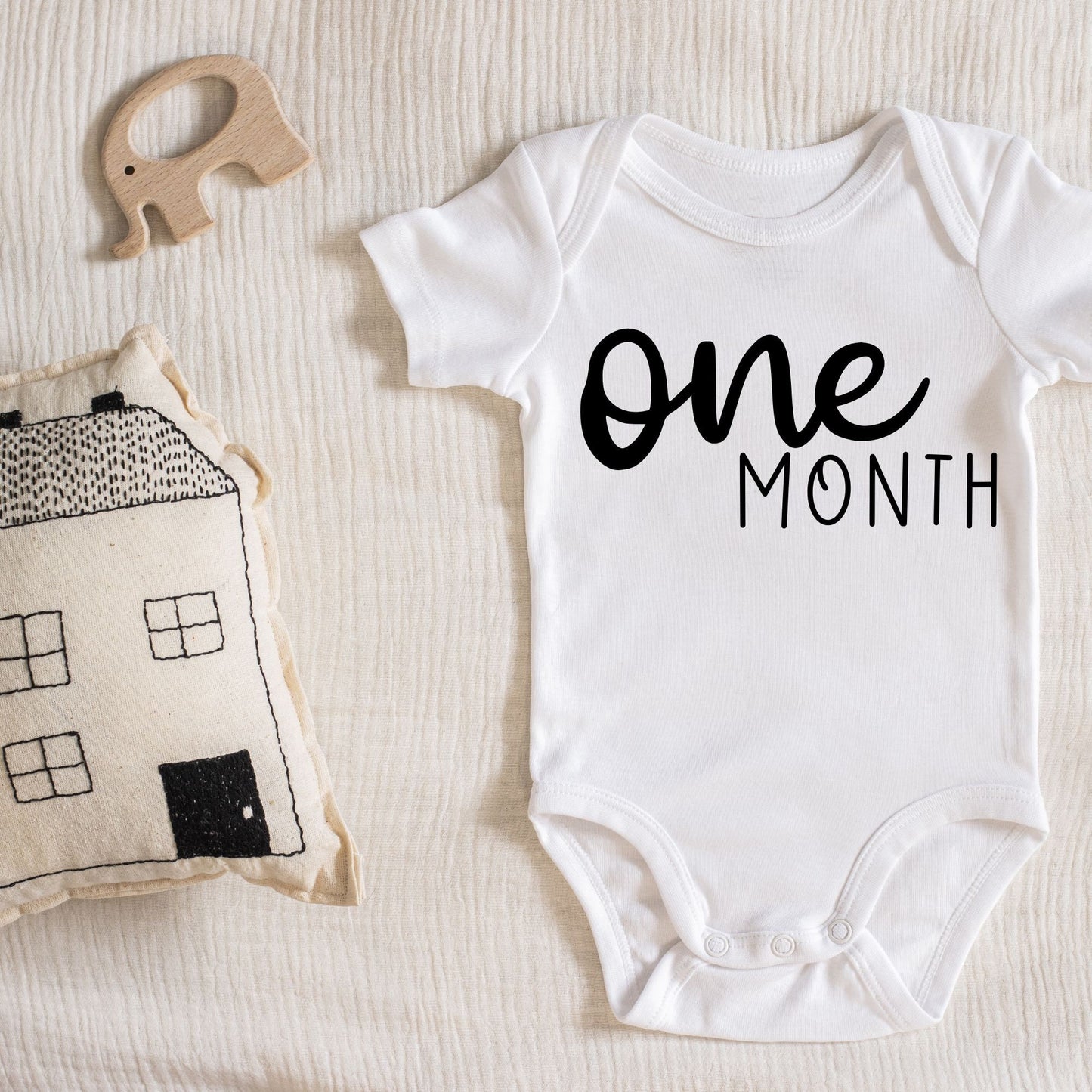 Baby Milestone Onesies